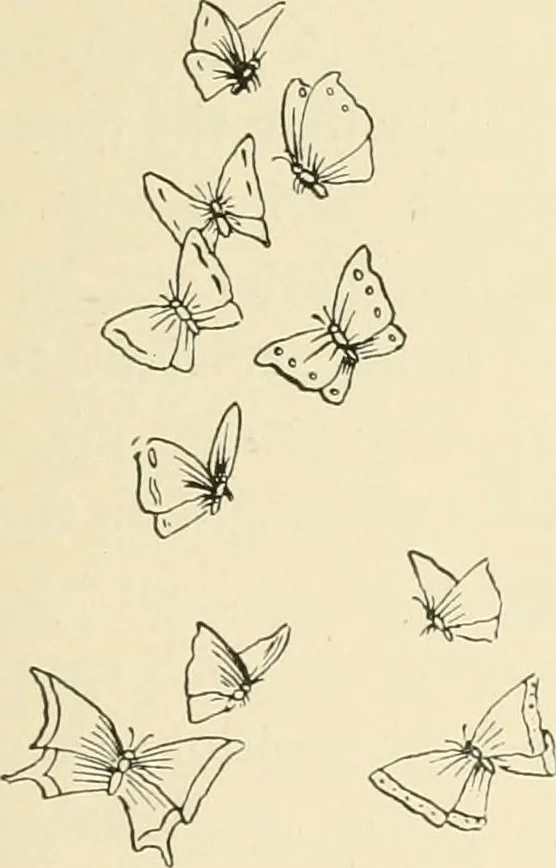 An illustration from Dainty work for pleasure and profit, 1891, leaf 138