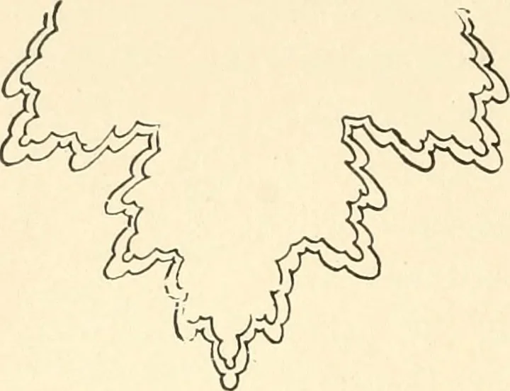 An illustration from Dainty work for pleasure and profit, 1891, leaf 141