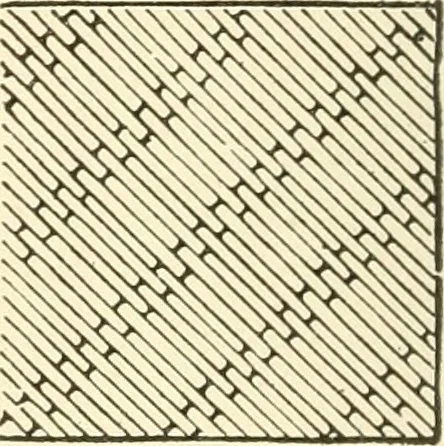 An illustration from Dainty work for pleasure and profit, 1891, leaf 151