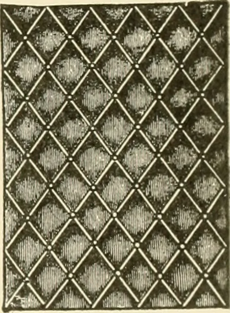 An illustration from Dainty work for pleasure and profit, 1891, leaf 152