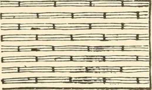 An illustration from Dainty work for pleasure and profit, 1891, leaf 153