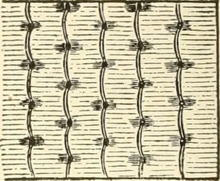An illustration from Dainty work for pleasure and profit, 1891, leaf 153
