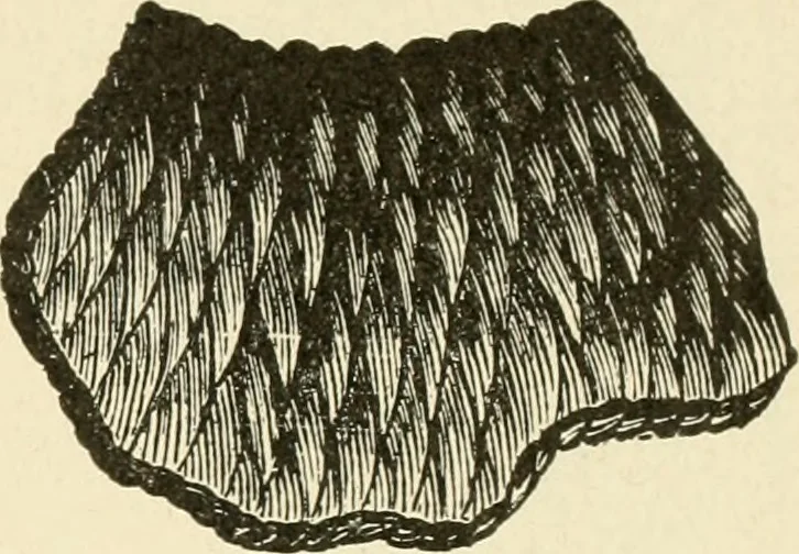 An illustration from Dainty work for pleasure and profit, 1891, leaf 156