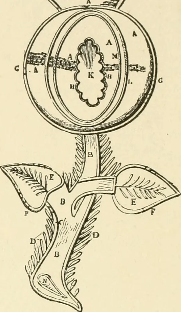 An illustration from Dainty work for pleasure and profit, 1891, leaf 158