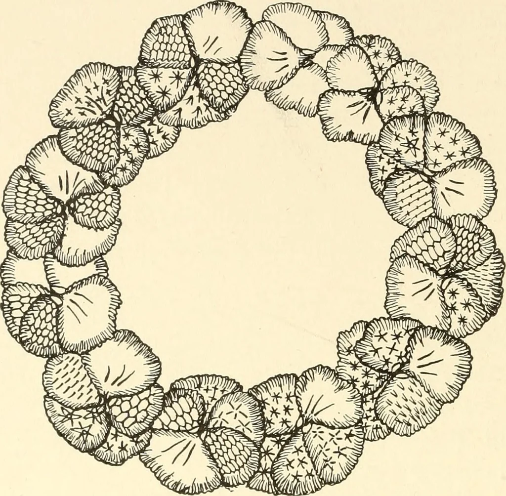 An illustration from Dainty work for pleasure and profit, 1891, leaf 169