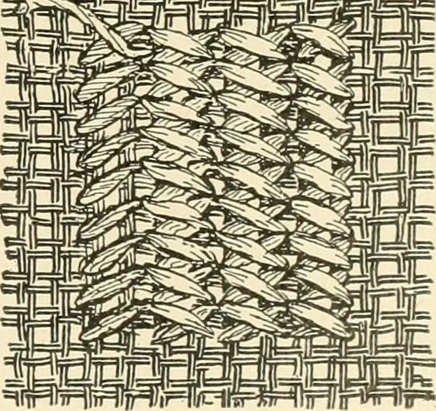 An illustration from Dainty work for pleasure and profit, 1891, leaf 174