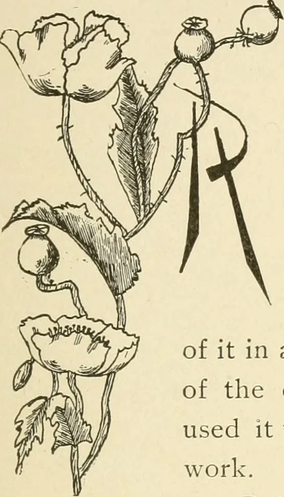 An illustration from Dainty work for pleasure and profit, 1891, leaf 180