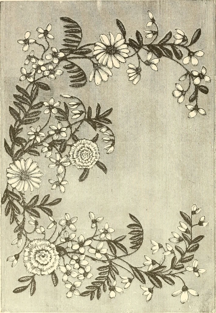 An illustration from Dainty work for pleasure and profit, 1891, leaf 181