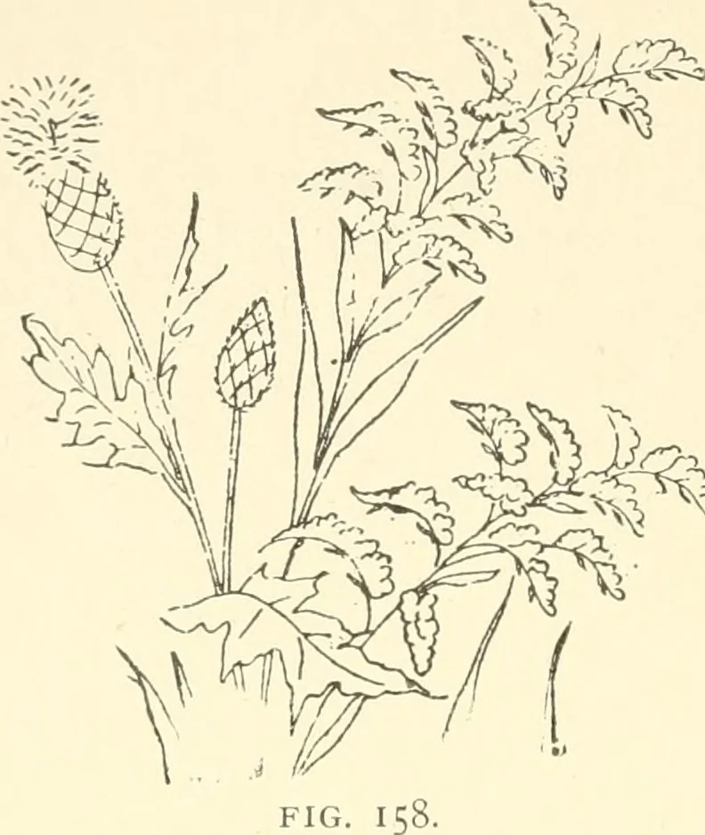 An illustration from Dainty work for pleasure and profit, 1891, leaf 197