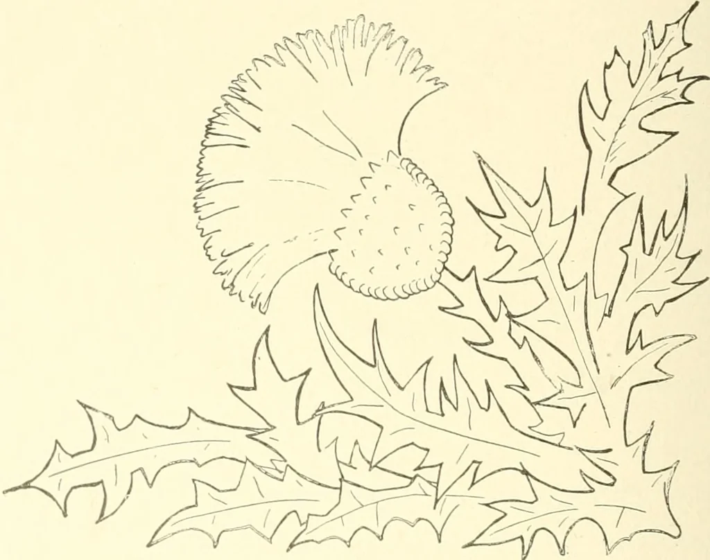 An illustration from Dainty work for pleasure and profit, 1891, leaf 197
