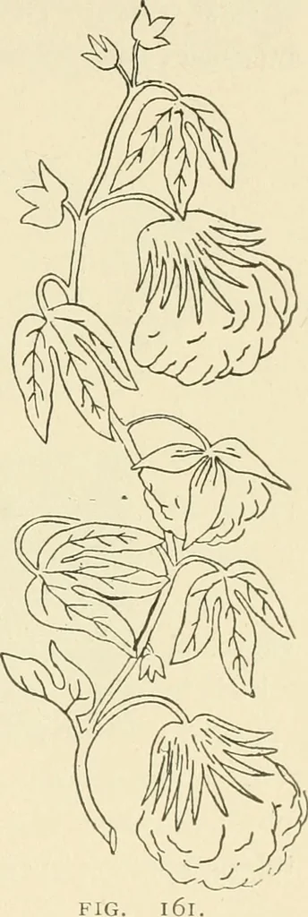 An illustration from Dainty work for pleasure and profit, 1891, leaf 202