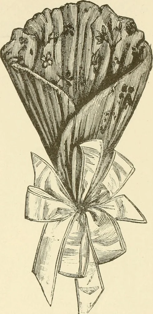 An illustration from Dainty work for pleasure and profit, 1891, leaf 208