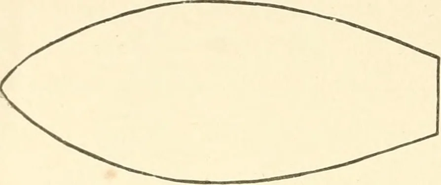 An illustration from Dainty work for pleasure and profit, 1891, leaf 211