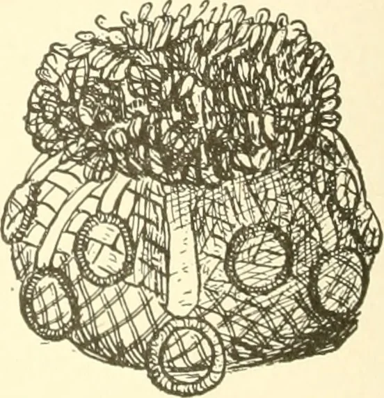 An illustration from Dainty work for pleasure and profit, 1891, leaf 213