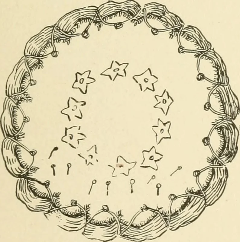 An illustration from Dainty work for pleasure and profit, 1891, leaf 214