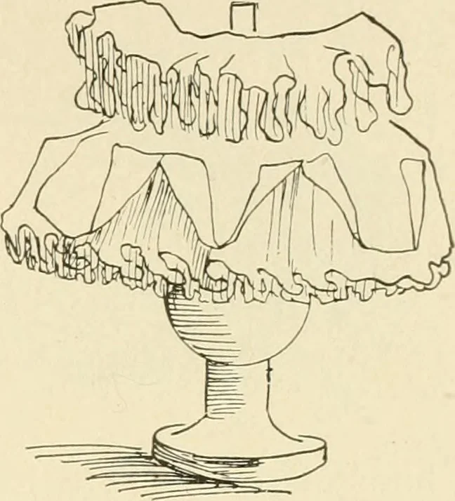 An illustration from Dainty work for pleasure and profit, 1891, leaf 216