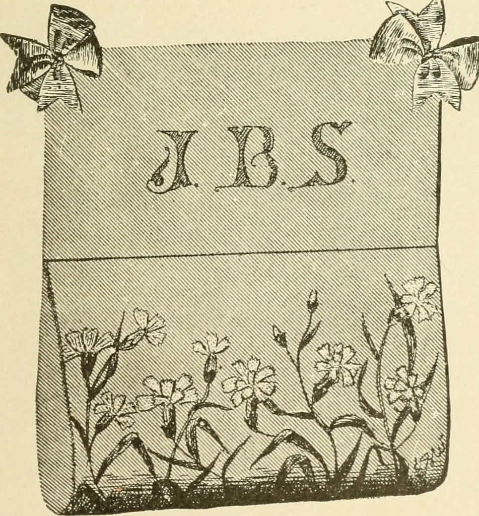 An illustration from Dainty work for pleasure and profit, 1891, leaf 216