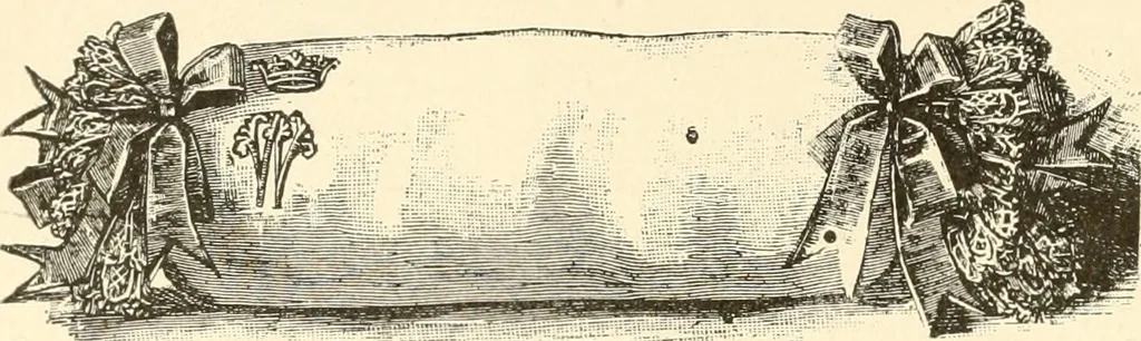 An illustration from Dainty work for pleasure and profit, 1891, leaf 217