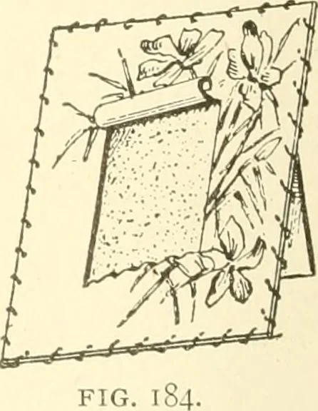 An illustration from Dainty work for pleasure and profit, 1891, leaf 219