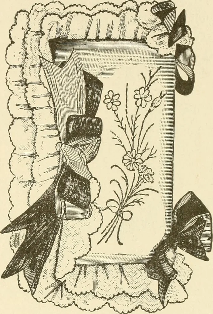 An illustration from Dainty work for pleasure and profit, 1891, leaf 220