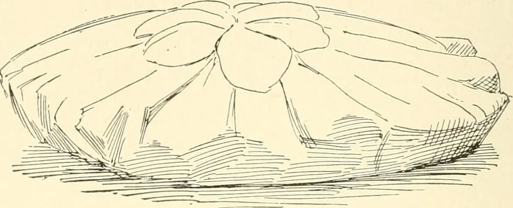 An illustration from Dainty work for pleasure and profit, 1891, leaf 221