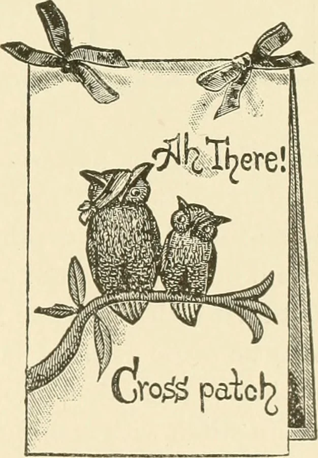 An illustration from Dainty work for pleasure and profit, 1891, leaf 230
