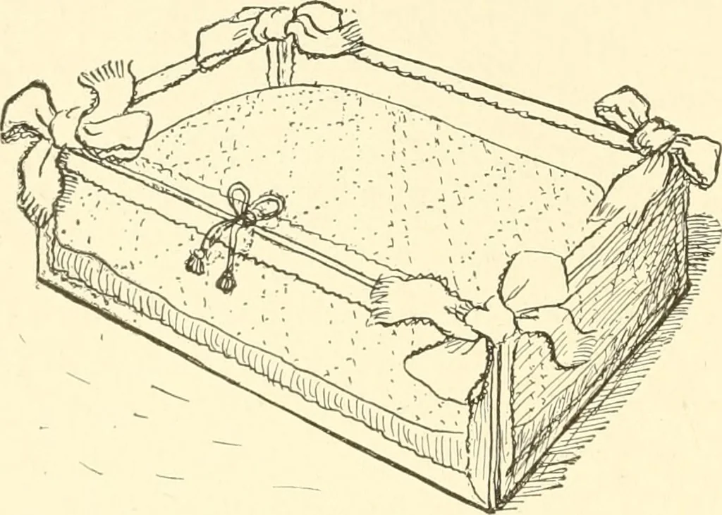 An illustration from Dainty work for pleasure and profit, 1891, leaf 235