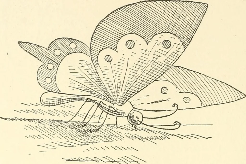 An illustration from Dainty work for pleasure and profit, 1891, leaf 243