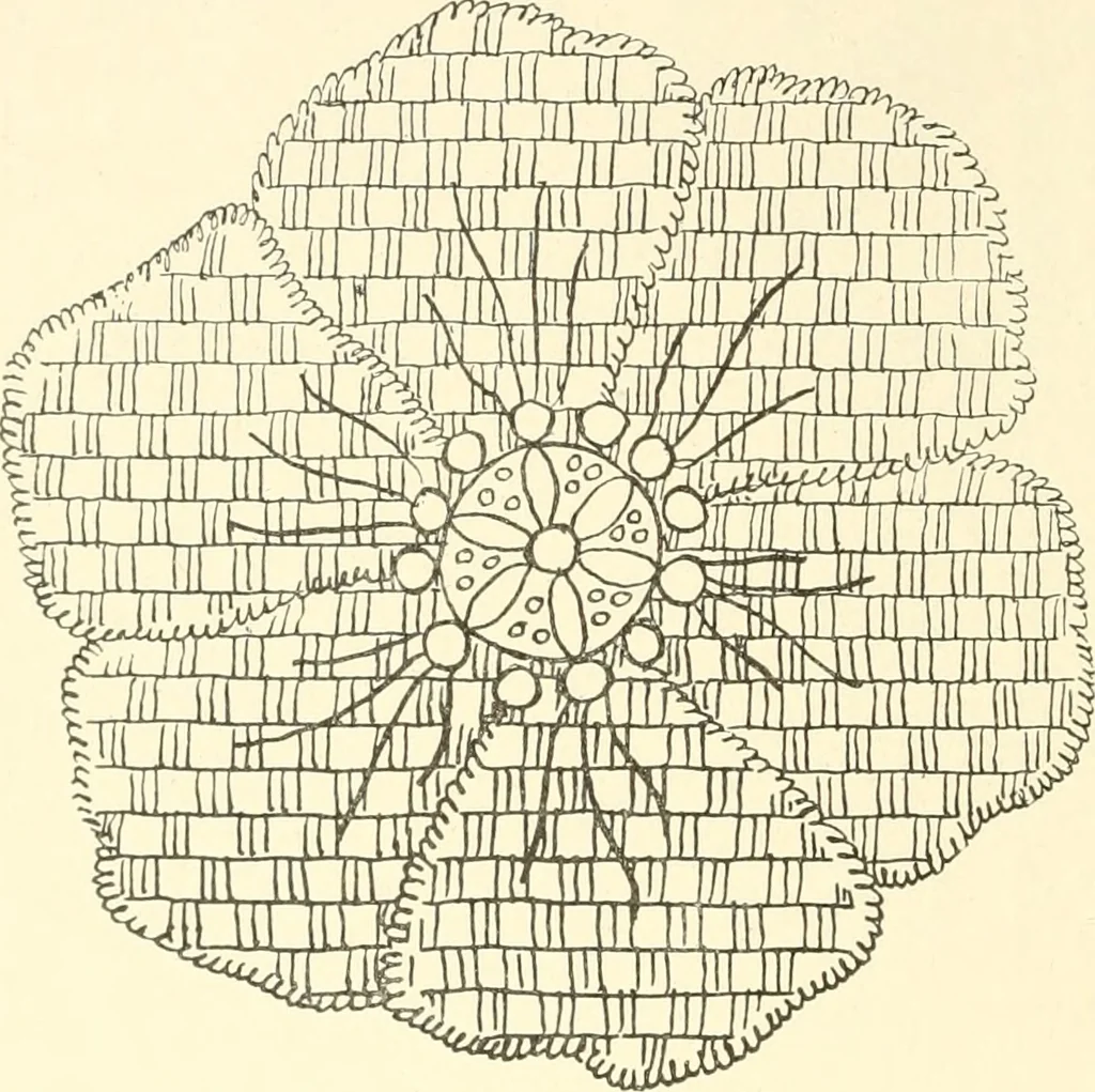 An illustration from Dainty work for pleasure and profit, 1891, leaf 247