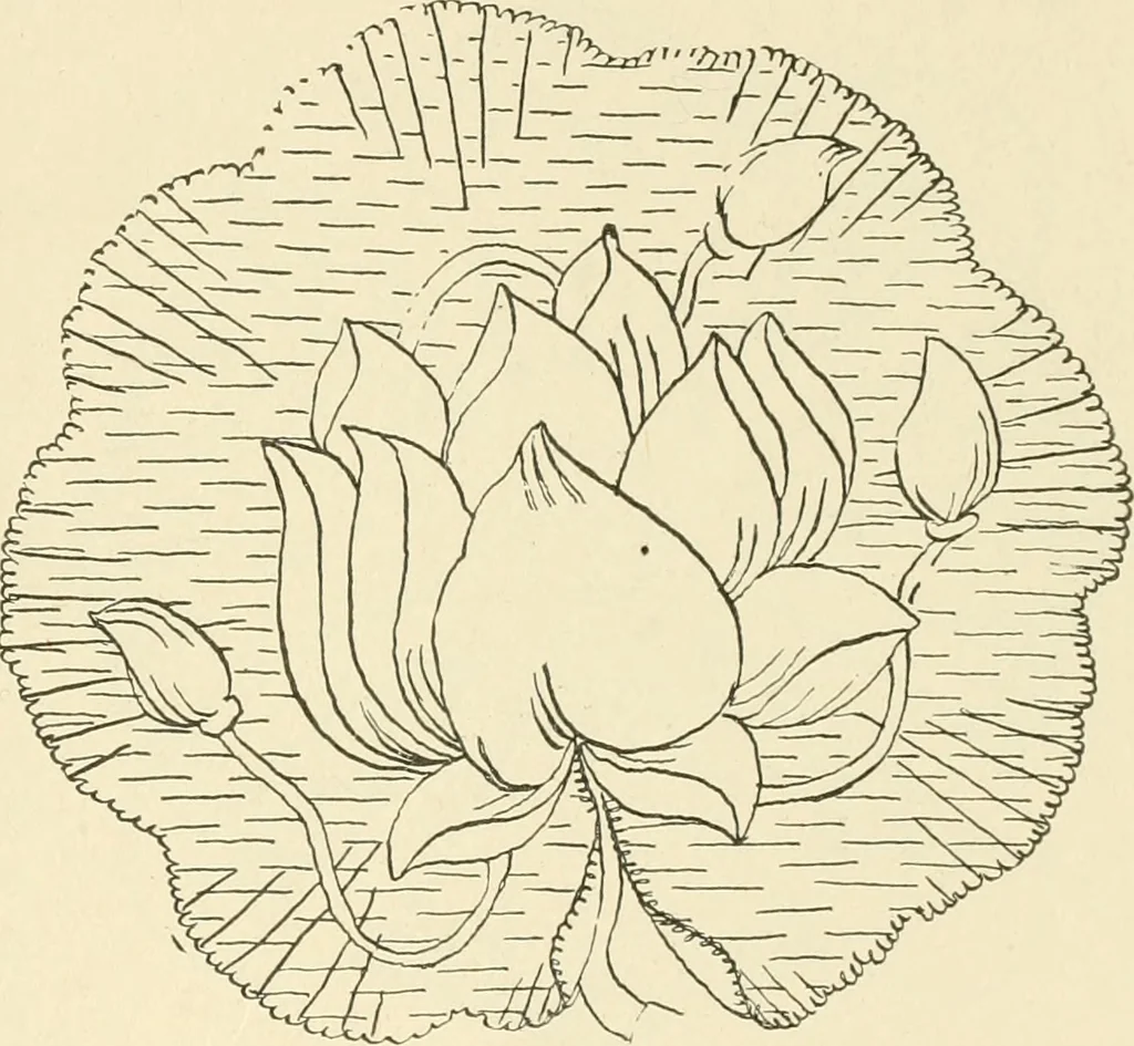 An illustration from Dainty work for pleasure and profit, 1891, leaf 248