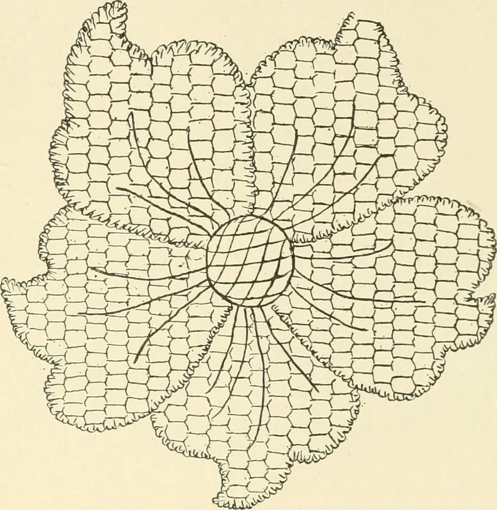 An illustration from Dainty work for pleasure and profit, 1891, leaf 250