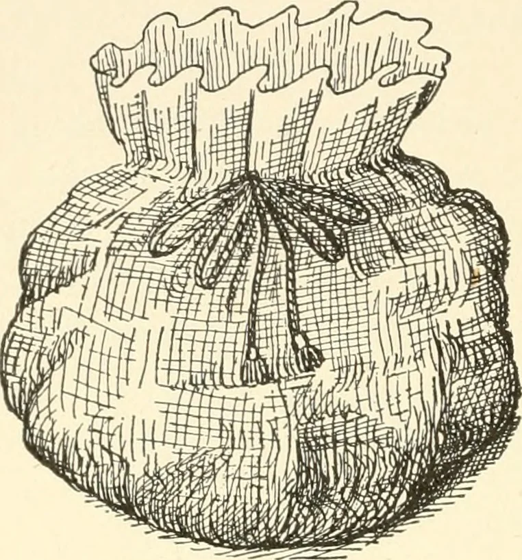 An illustration from Dainty work for pleasure and profit, 1891, leaf 253