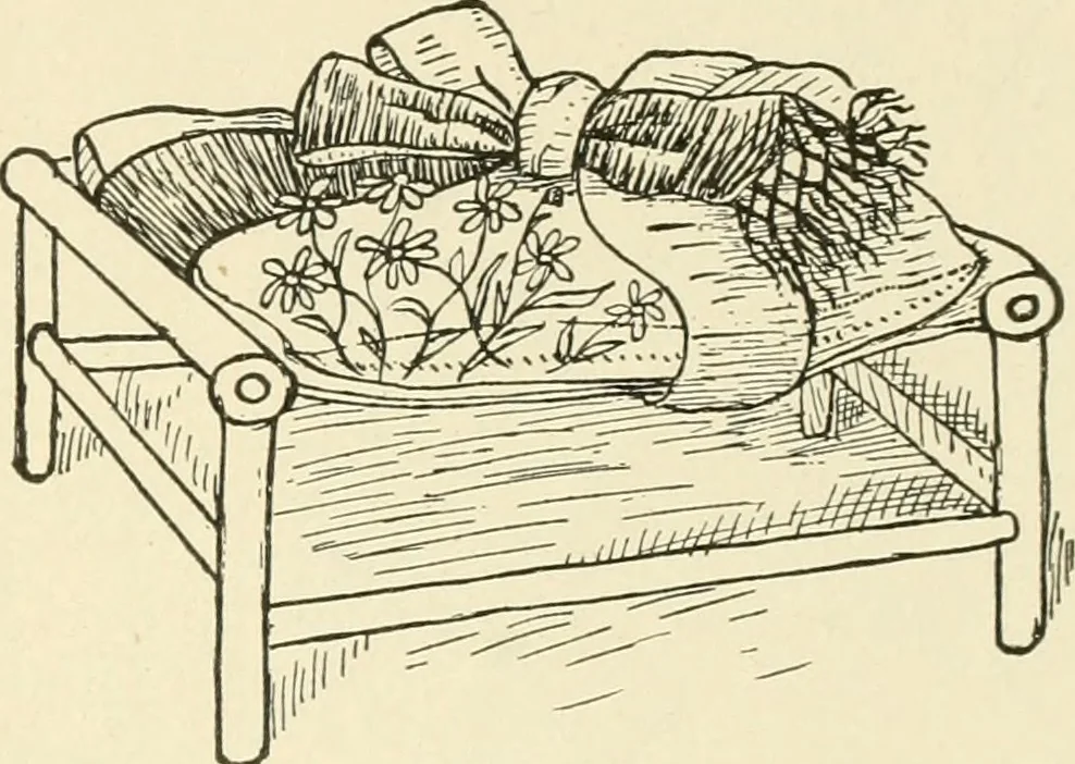 An illustration from Dainty work for pleasure and profit, 1891, leaf 254
