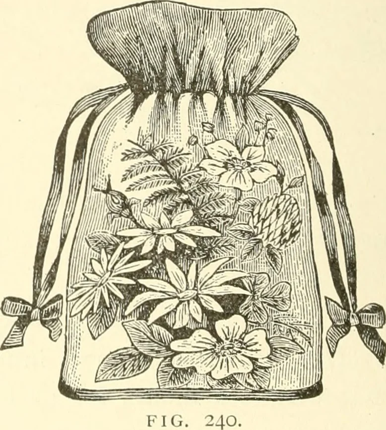 An illustration from Dainty work for pleasure and profit, 1891, leaf 263