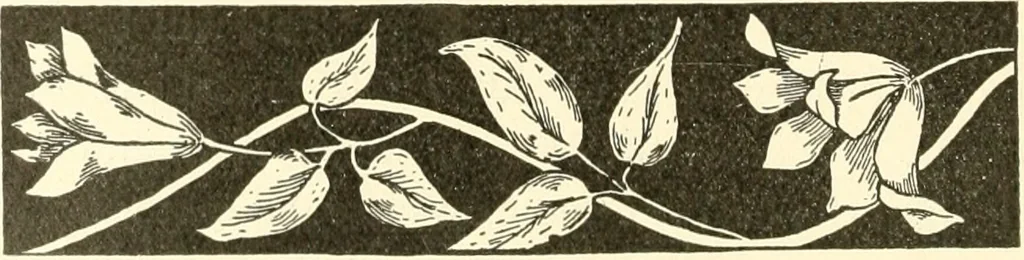 An illustration from Dainty work for pleasure and profit, 1891, leaf 271