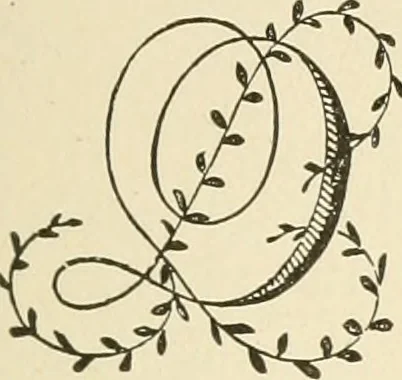 An illustration from Dainty work for pleasure and profit, 1891, leaf 272