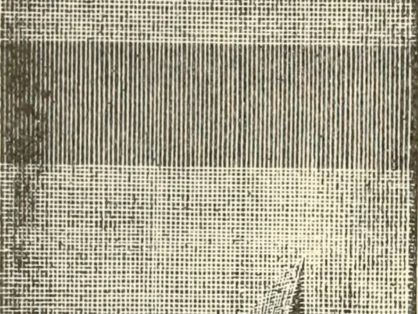 An illustration from Dainty work for pleasure and profit, 1891, leaf 273