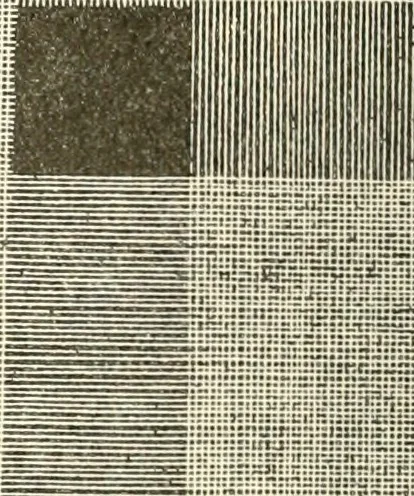 An illustration from Dainty work for pleasure and profit, 1891, leaf 273