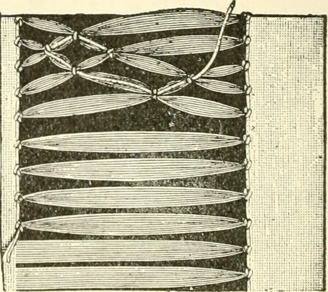 An illustration from Dainty work for pleasure and profit, 1891, leaf 281