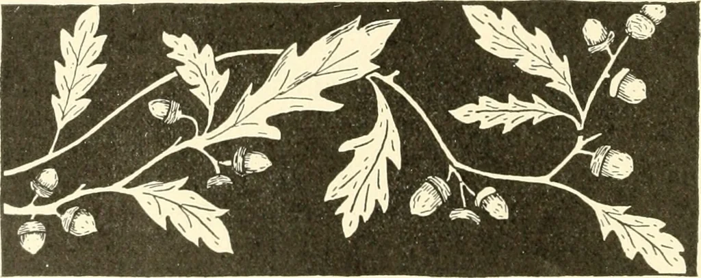An illustration from Dainty work for pleasure and profit, 1891, leaf 37