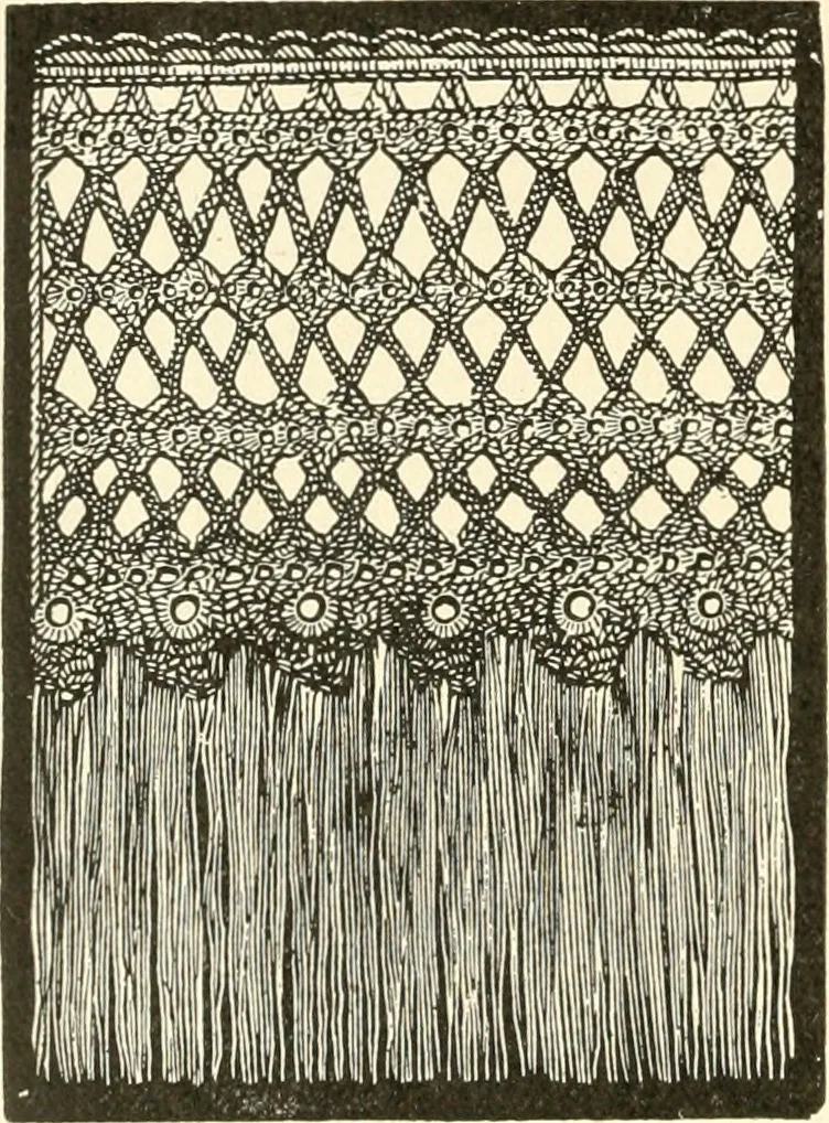 An illustration from Dainty work for pleasure and profit, 1891, leaf 373