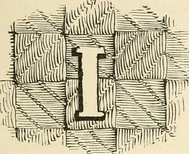 An illustration from Dainty work for pleasure and profit, 1891, leaf 38