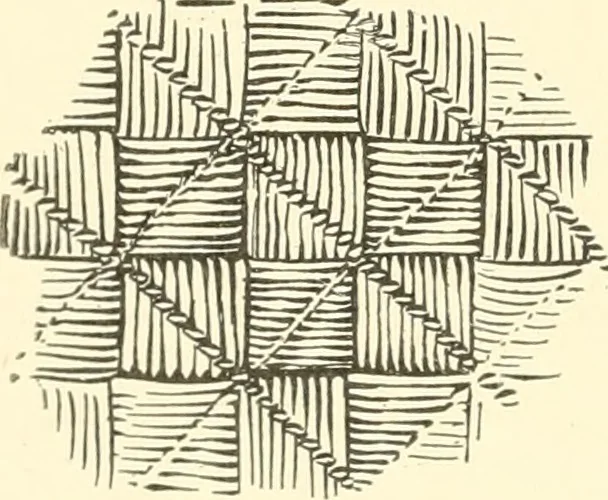 An illustration from Dainty work for pleasure and profit, 1891, leaf 41