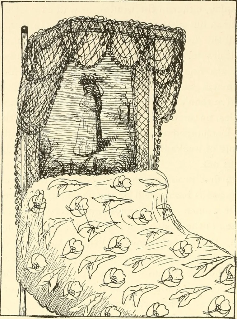An illustration from Dainty work for pleasure and profit, 1891, leaf 455