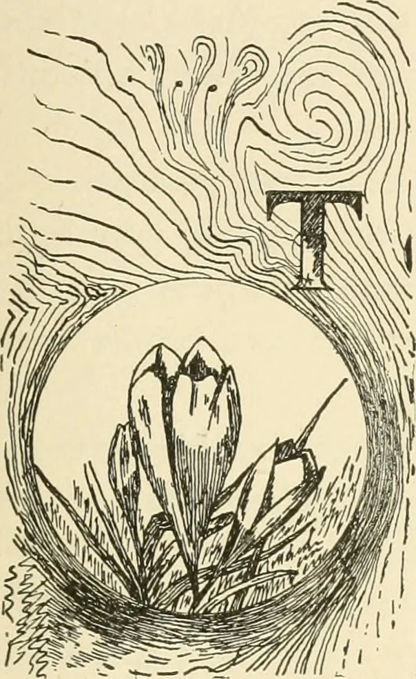 An illustration from Dainty work for pleasure and profit, 1891, leaf 460