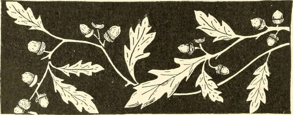 An illustration from Dainty work for pleasure and profit, 1891, leaf 469