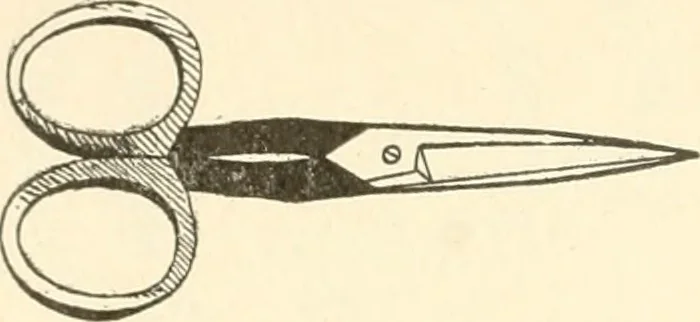 An illustration from Dainty work for pleasure and profit, 1891, leaf 47