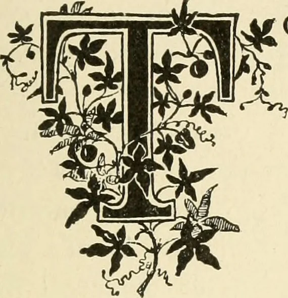 An illustration from Dainty work for pleasure and profit, 1891, leaf 50