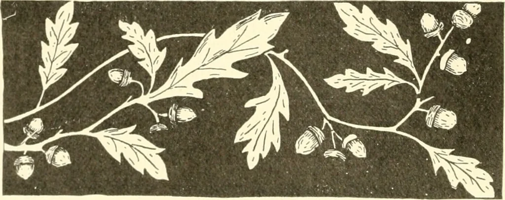 An illustration from Dainty work for pleasure and profit, 1891, leaf 55