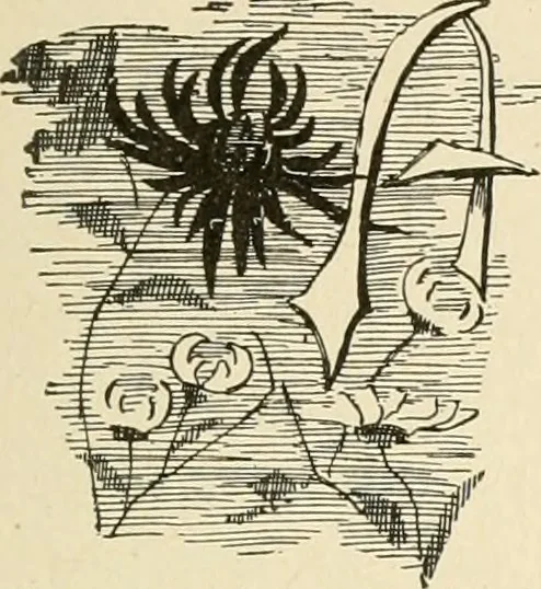 An illustration from Dainty work for pleasure and profit, 1891, leaf 56